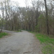A paved Turkey Hill Lane leading to the unpaved version in Whitney Woods