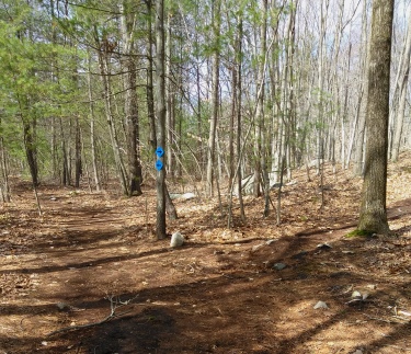 Loop intersection on twin ponds trail