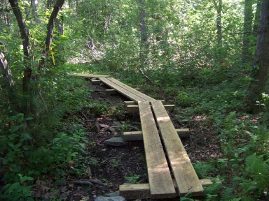 plank walk along winding trail at twin ponds trail