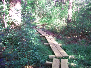 planks on twin ponds trail