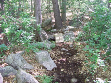 small footbridge on twin ponds trail