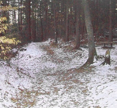 two mile farm hiking trail
