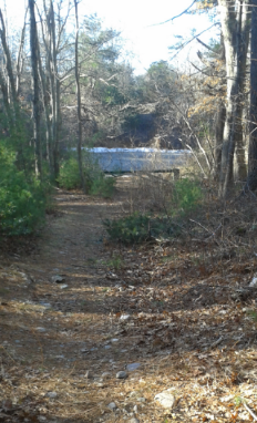 hiking trail out to Maryland St in Marshfield