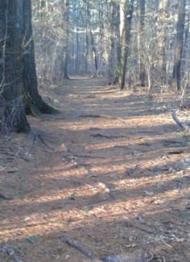 wide trail into two mile farm reservation