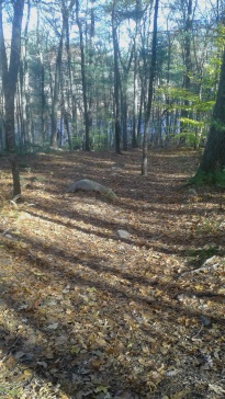 trail above indian head river