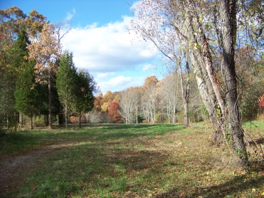 field in fall at willow brook farm