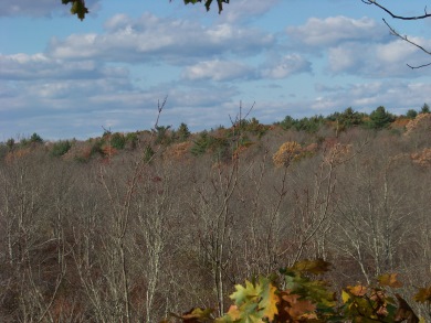 view in fall at observation tower in willow brook farm