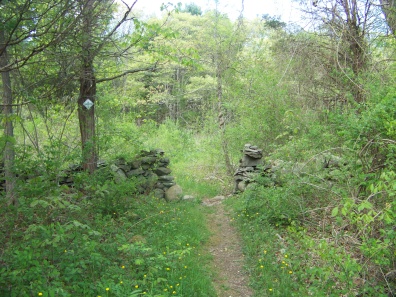 entering a meadow at willow brook farm