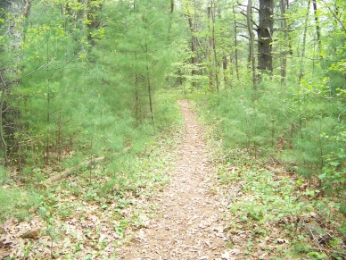 narrow trail loop in willow brook farm