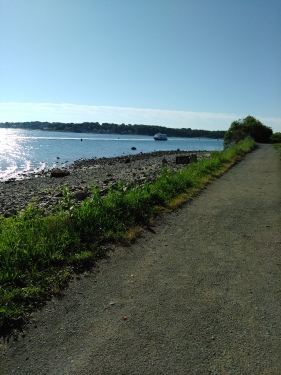 The Hewitt's cove ferry.