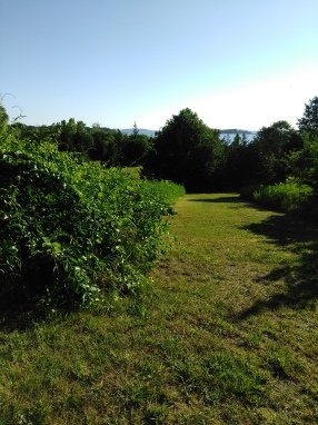 mown lawn hiking trail