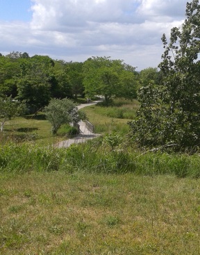 Winding trail over a bridge at Webb Memorial Park