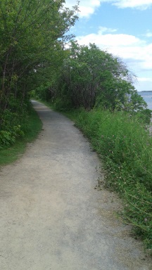 Gravel hiking trail at Webb Memorial State Park.