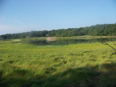 view of weir river from weir river woods