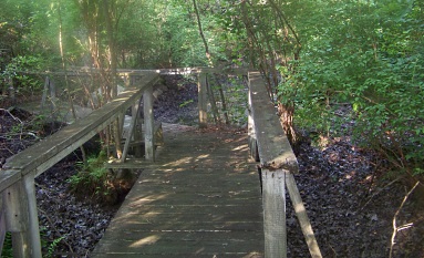 bridge over vernal pond in weir river woods