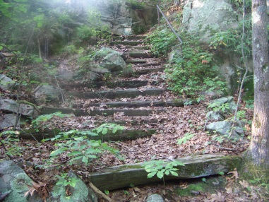 staircase up cliff ledge in weir river woods