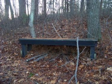 bench after the bridge on western part of cushing woods bench after the bridge on western part of cushing woods