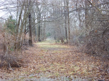 northern entrance to whitman town forest
