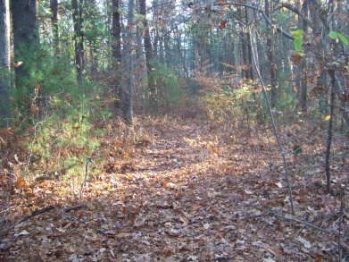 trail across second utility line on whitman hanson trail