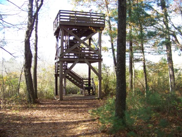 observation tower at edge of marsh in willow brook farm