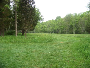 grassy trail divides at open field in willow brook farm