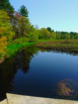 Winnetuxet River in Halifax